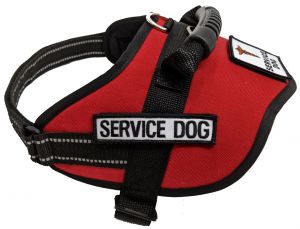 Harness Vest (Large Dogs) - Service Dog 1