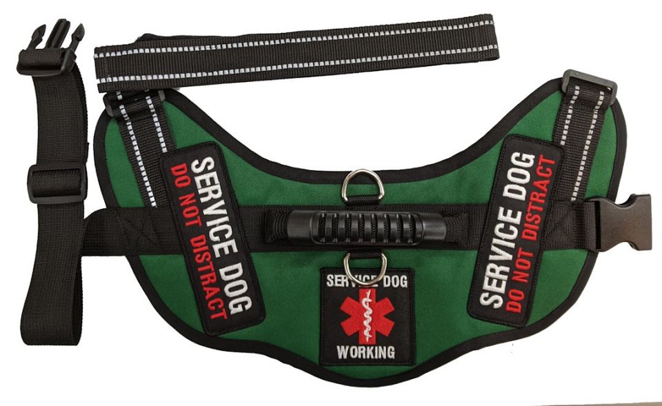 Service dog vest 2024 for large dogs