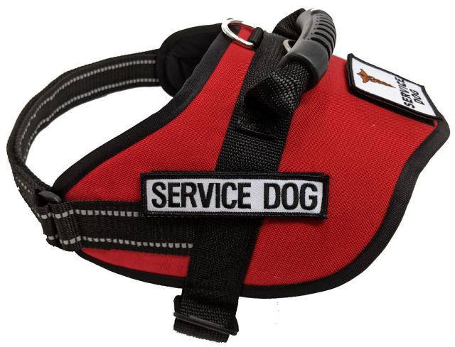 Active dogs service dog vest best sale