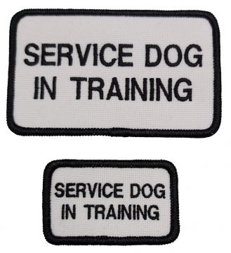 SERVICE DOG IN TRAINING