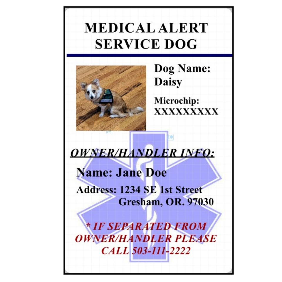  Pet ID Card Pet Identification Card Dog ID Cat ID Emergency Pet  Card Secure ID : Pet Supplies