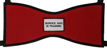 SERVICE DOG IN TRAINING VEST