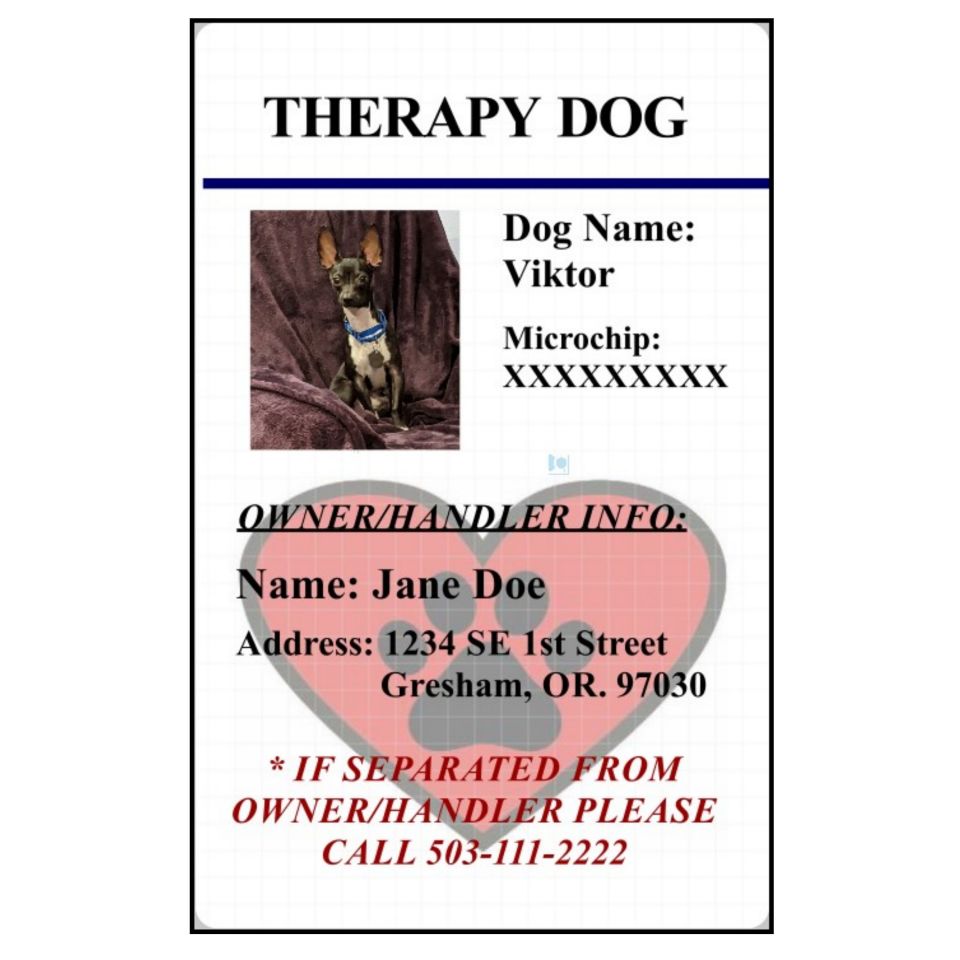 Therapy dog clearance id