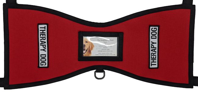 Service dog vest with id outlet holder