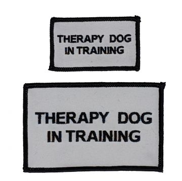 THERAPY DOG IN TRAINING