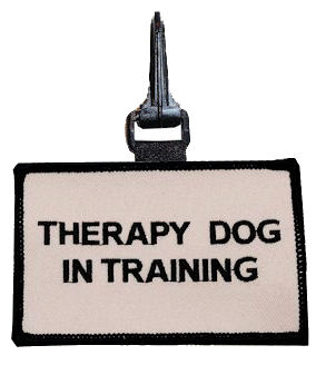 CLIP-ON: THERAPY DOG IN TRAINING