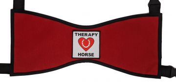 THERAPY HORSE VEST #1